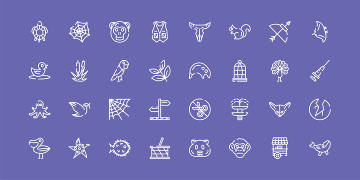 wildlife outline icon set featuring tortoise, orangutan, tapir, blue whale icons.