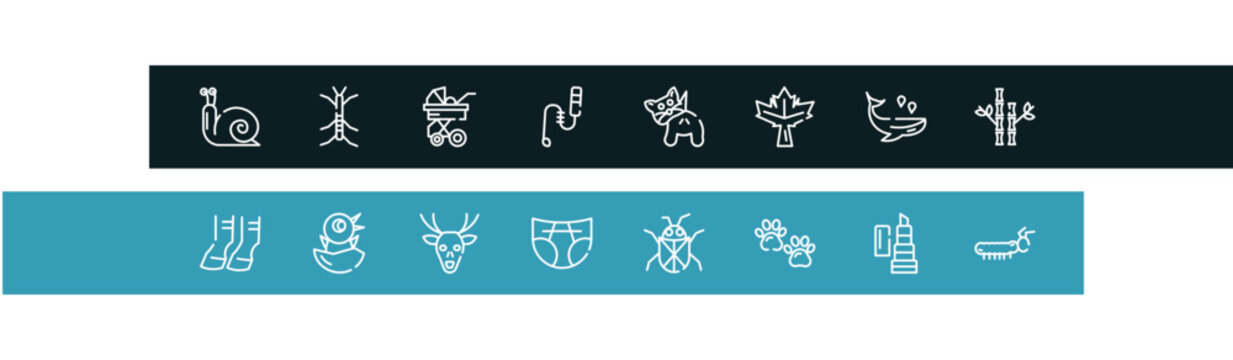insects outline icon set featuring snail, stick insect, stroller, teasing stick icons.