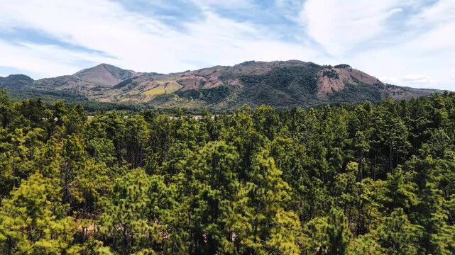 Parque Nacional La Yeguada