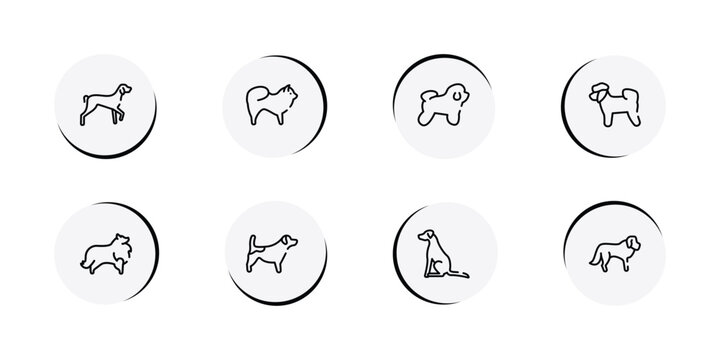 dog breeds fullbody outline icon set featuring kurzhaar, chow chow, bichon frise, bichon icons.