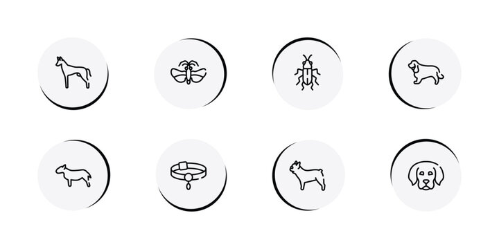 pet lovers outline icon set featuring pharaoh hound, null, red soldier beetle, english cocker spaniel icons.