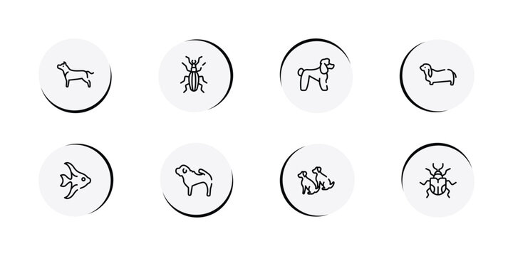 dog and training outline icon set featuring american staffordshire terrier, null, poodle, bas hound icons.