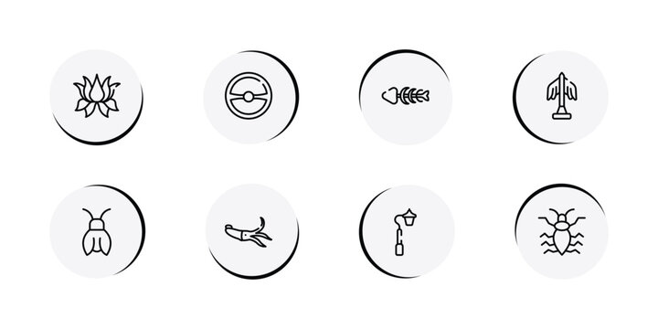 insects outline icon set featuring lotus flower, steering wheel, fishbone, statue icons.