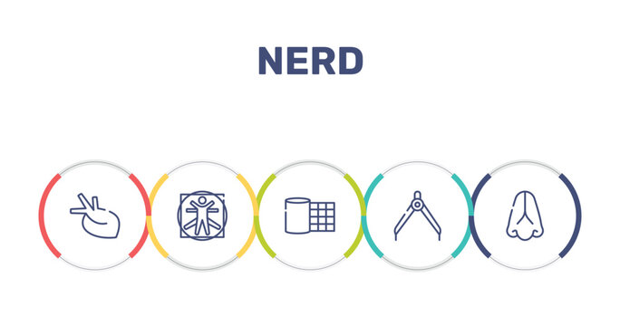 nerd outline icon set featuring organ, vitruvian man, gauze, divider icons.