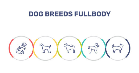 dog breeds fullbody outline icon set featuring grooming pet, afghan hound, shar pei, poodle icons. © VectorStockDesign