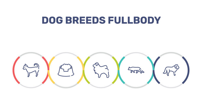 dog breeds fullbody outline icon set featuring chihuahua, pet dish, tibetan mastiff, snowshoe cat icons.