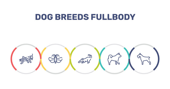 dog breeds fullbody outline icon set featuring locust, null, dogs playing, malamute icons.