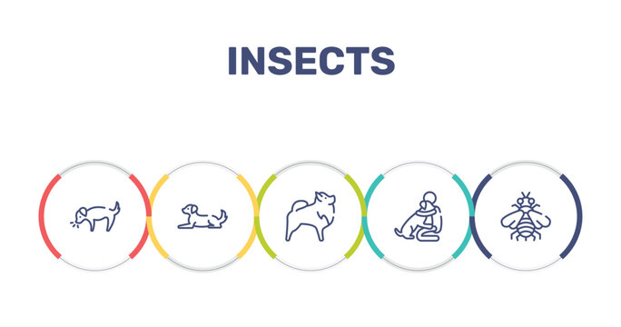 insects outline icon set featuring dog smelling dog, dog lying, pomeranian, null icons.