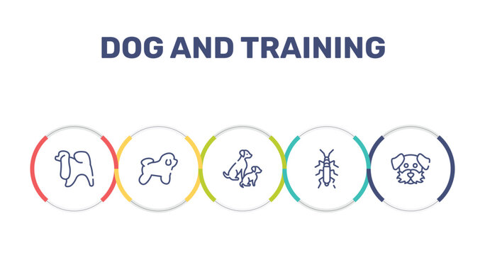 dog and training outline icon set featuring japanese chin, bichon frise, dog and doggie, null icons.