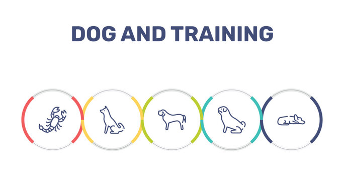 dog and training outline icon set featuring scorpio, akitas, english mastiff, pug icons.