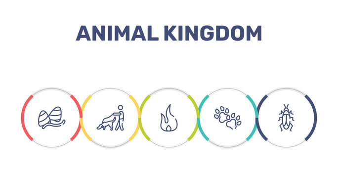 animal kingdom outline icon set featuring gummy, dog and a man, fire flame, dog paw icons.