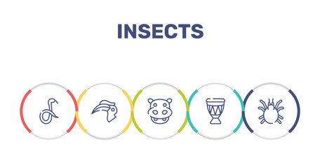 insects outline icon set featuring snake, hornbill, hippopotamus, drum icons. © VectorStockDesign