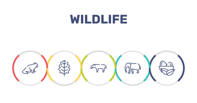 wildlife outline icon set featuring red panda, oak leaf, tapir, elephants icons.
