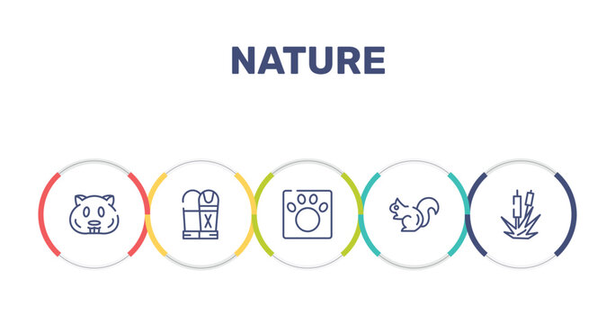 nature outline icon set featuring hamster, sarcophagus, veterinarian, chipmunk icons.