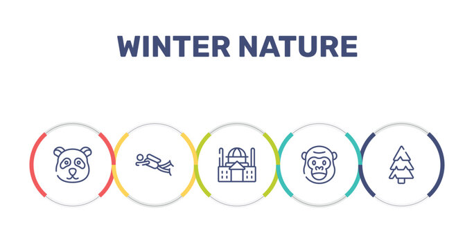 winter nature outline icon set featuring panda, diving, basilica, gorilla icons.