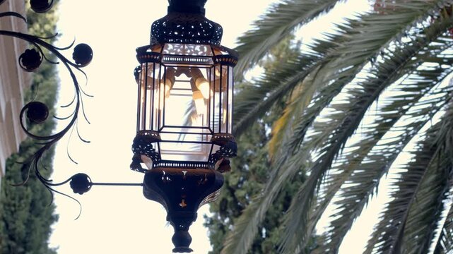Farola encendida entre palmeras al atardecer