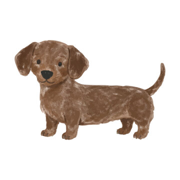 Cute Dachshund Puppy Clipart, Hand Drawn Sausage Dog Illustration, Watercolor Style Pet PNG, Adorable Dog Character