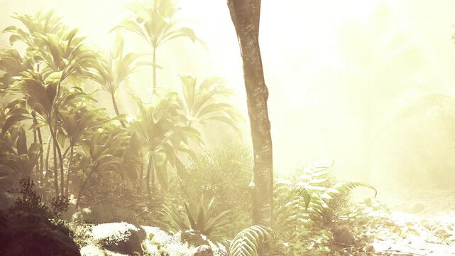 Bright high key rainforest sunlight blankets ferns and palms, intense glare highlighting textures, overexposed mood, warm tones, ideal for cinematic nature