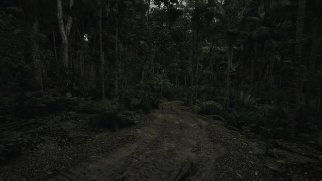 Overgrown track winding into dense foliage, tangled plants and mossy ground create secluded vibe, ideal for storytelling about discovery, hidden places,