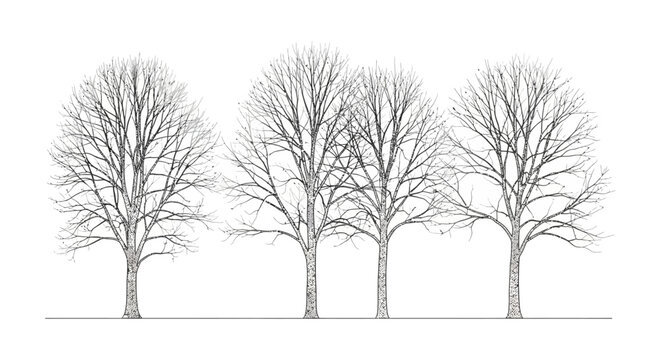 graphic illustration of four bare deciduous trees representing winter dormancy and seasonal nature concepts for design projects.