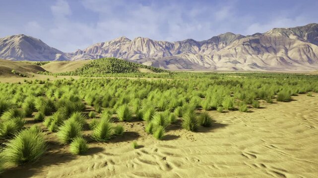 sparse bushes across arid plain indicating grazing potential and rangeland dynamics, ecological indicators for pastoral planning and sustainable livestock