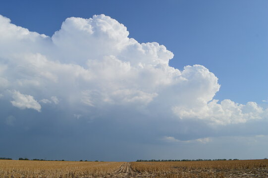 Towering Cumulus Clouds Above Harvested Field
