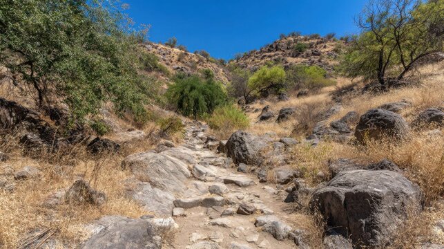 Sun-drenched rocky mountain trail winding through dry scrubland under a clear blue sky.