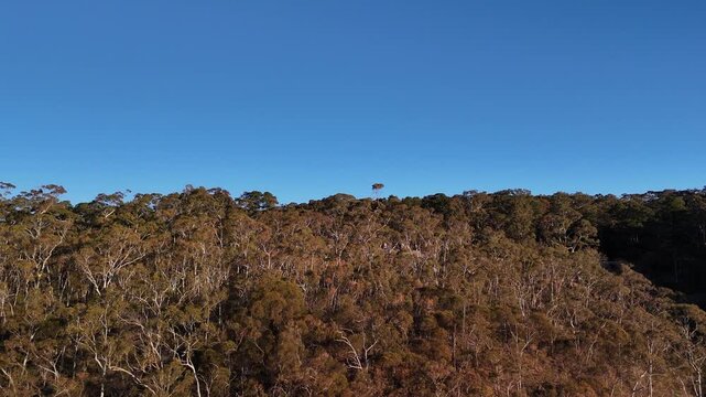 Morialta Conservation Park, Woodforde, Adelaide Hills, South Australia &ndash; 4K Aerial Drone Footage of Rocky Cliffs, Bushland Trails, Wilderness Canyon and Natural Landscape