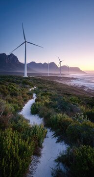 Coastal wind turbines at sunset.  A winding path through scrubby vegetation leads to a line of modern wind turbines against a backdrop of mountains and the ocean at twilight