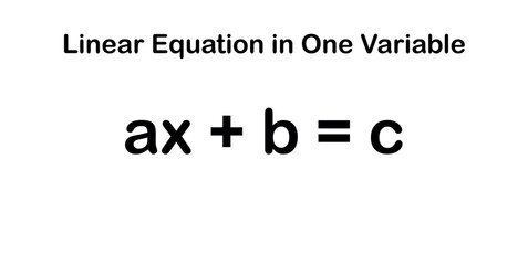 Obraz premium Linear Equation in One Variable in Mathematics.