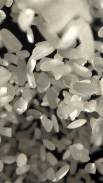 Rice flies up and falls down. Filmed on a high-speed camera at 1000 fps. High quality FullHD footage