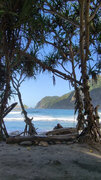 Vertical video of a tropical Papuma beach Jember framed by exotic trees with natural ocean wave sound. Waves washing onto the sandy shore with green hills under a sunny summer sky. 
