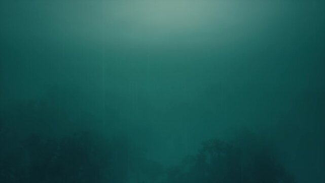 Rain In The Forest View From Above 03