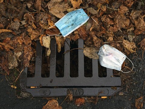 Discarded respirators, street, autumn leaves, Schliersee, Bavaria, Germany