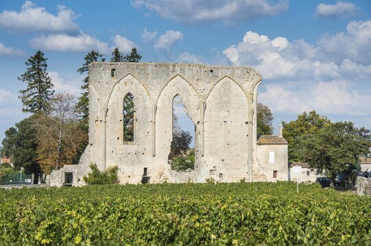 Chateau Les Grandes Murailles, Saint Emilion, D&eacute;partement Gironde, France