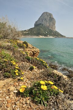 Distinctive rock Pe&ntilde;&oacute;n de Ifach, landmark of Calpe, Costa Blanca, Spain, Europe