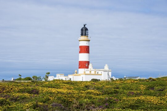 Point of Ayre Lighthouse, Isle of Man, United Kingdom