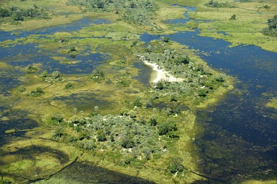 Wetlands, freshwater marshland with canals and islands, aerial view, Okavango Delta, Moremi Game Reserve, Botswana