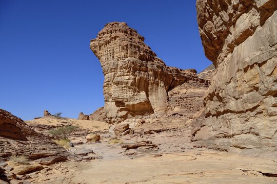 Landscape in Wadi Abu Oud, near AlUla, Medina Province, Saudi Arabia, Arabian Peninsula