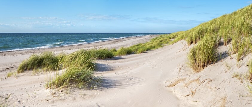 Summer day by the sea, dunes with beach grass on the unspoilt beach of the Baltic Sea, Dar&szlig; peninsula, west beach, Fischland-Dar&szlig;-Zingst peninsula, core zone of the Vorpommersche Boddenlandschaft National Park, Mecklenburg-Western Pomerania, Germany