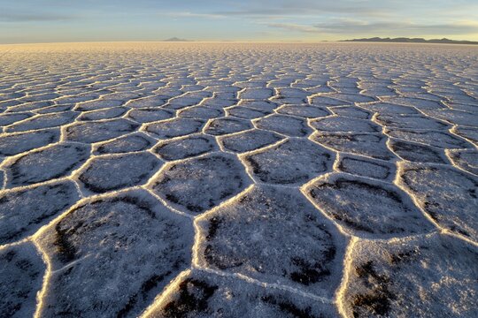 Honeycomb structure on Salar de Uyuni, salt flat, morning light, Altiplano, Lipez, Bolivia