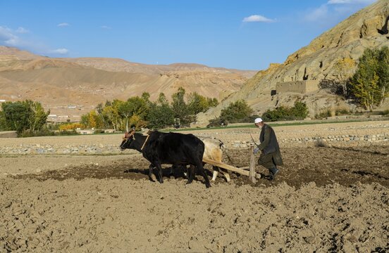 Basic rural fieldwork, Bamyan, Afghanistan