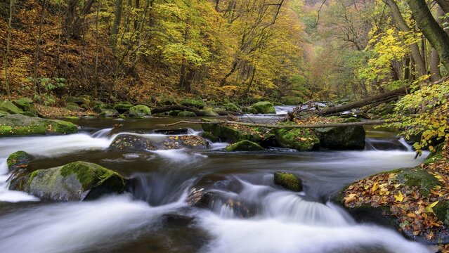 Autumn on the river Bode in the Harz Mountains, foliage colouring, Bodetal, Thale, Saxony-Anhalt, Germany