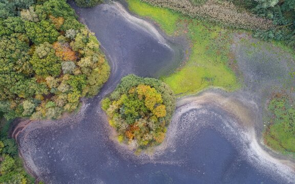 Mixed forest in autumn, colouring, aerial view, forest, autumnal, Ahlhroner Fischteiche, Nieders&auml;chsische Landesforst, Ahlhorn, Lower Saxony, Germany