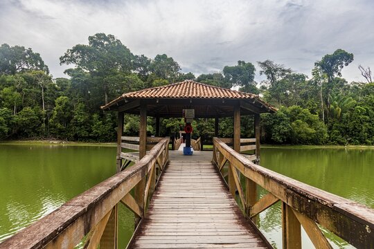 Forest Park Sinop, Sinop, Mato Grosso, Brazil