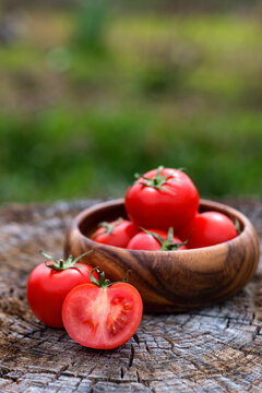 Basket with fresh tomatoes on wooden background. Outdoor, in the garden, on the farm.