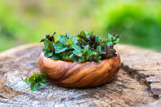 Mint in wooden plate on natural wooden background, peppermint, selective focus, close up