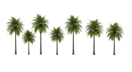 Fototapeta premium Line of aligned palm trees against abstract building silhouettes outlines geometric
