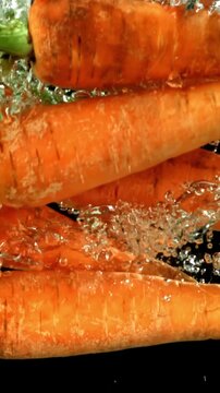 Super slow motion fresh carrots . Filmed on a high-speed camera at 1000 fps. High quality FullHD footage