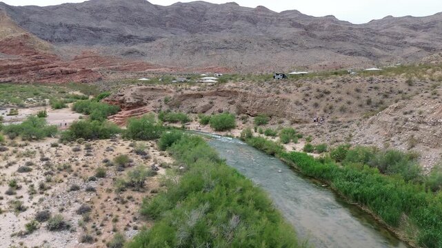 Virgin Riverbank - Virgin River Canyon - Northern Arizona